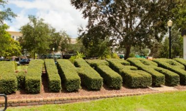 Winter Park Commission Race Takes Shape