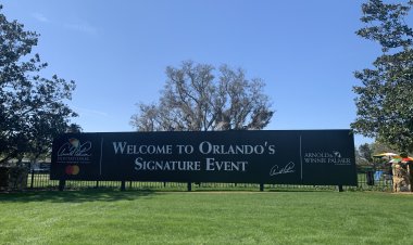 DeChambeau Wins Arnold Palmer Invitational Following 377 Yard Drive