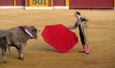 Bull-Fighter Loof Lirpa Visits Central Florida
