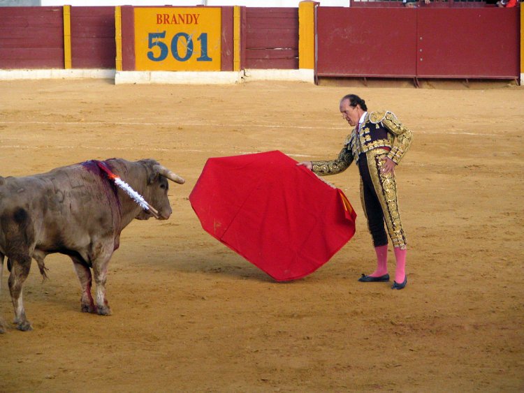 Bull-Fighter Loof Lirpa Visits Central Florida