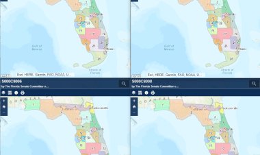 Florida Senate Releases Draft Redistricting Maps
