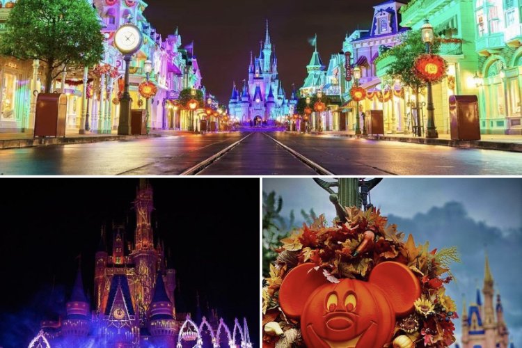 Disney's Halloween Decor