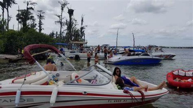 Orange County Government Weighs Bird Island Boat Ban