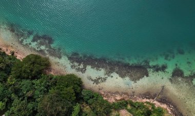 Sea levels higher than thought due to "methodological blind spot," study says