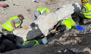 Fossils found at Dinosaur National Monument, first excavation in 100 years