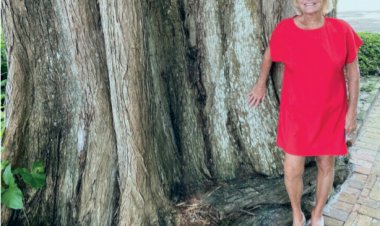 Let's "Sprinkel" Some Sunshine On Winter Park