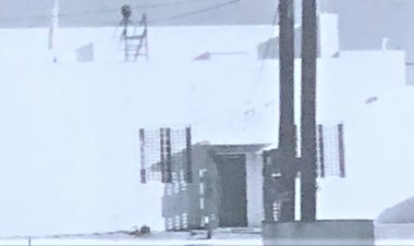 March 26, 1981: The Different World of Walter Phillips