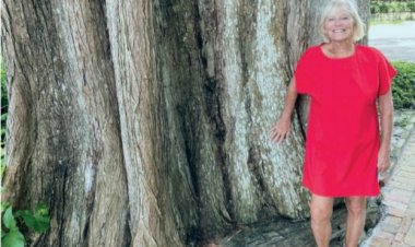 Endorsement: Sarah Sprinkel Best Choice for Winter Park Mayor