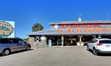 Feeling Fruity? Visit These Local Farms and Pick Your Own Fruit