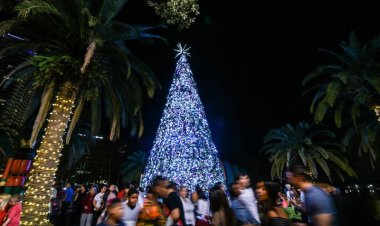 Community Calendar: December Events