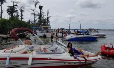 Orange County Government Weighs Bird Island Boat Ban