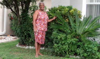 Elderly Immigrant Wrongfully Dispossessed of Home by Local HOA