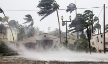 Another Florida Insurance Company Declares Bankruptcy