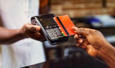 Stablecoins: The Digital Dollar Alternative